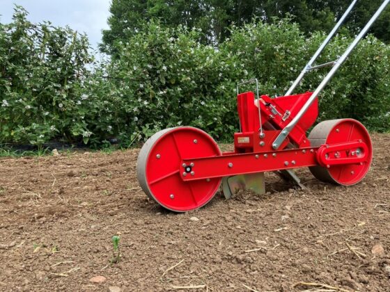 【農場だより】有機土壌を生き生きと！クロタラリアの活用